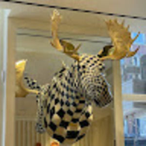 Meet your Posher, Jeffrey c